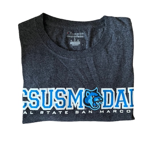 Champion Authentic Athleticwear Grey Mens T-shirt Size Large American Theme Mens - Picture 9 of 9